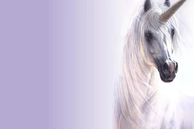 WHITE UNICORN WALLPAPER   (