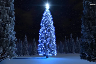 40 Christmas Tree Wallpapers For 2015