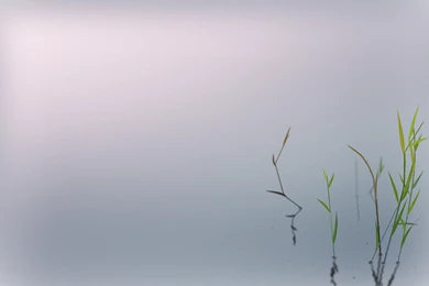 WaterFall HD Wallpaper Backgrounds (95)