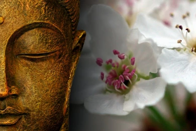 Wallpaper: Zen Garden Wallpapers Hd