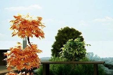 Iphone Wallpapers On Pinterest Iphone Wallpapers Free Iphone And ...