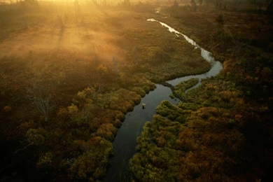 Wallpaper: 100 Most Famous National Geographic HD Wallpapers  Part ...