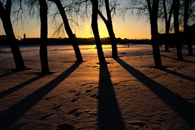 Wallpaper: 100 Most Famous National Geographic HD Wallpapers  Part ...