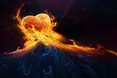 Burning Love Desktop Wallpapers Hd
