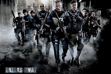Wallpapers Swat 1024x768