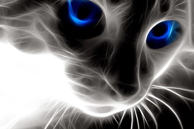 Really Cool Wallpapers Free