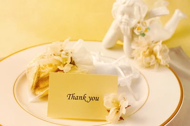 Thank You, Pretty, Scenery, 1920x1200 HD Wallpapers And FREE Stock ...