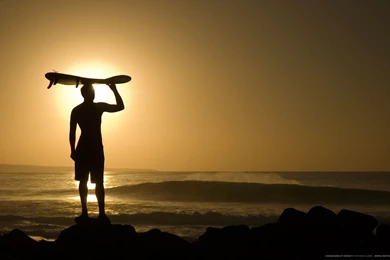 Wallpapers Air Jordan Loaded Longboarding 2560x1600