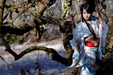 Japanese Girl Wearing Kimono Photo Free Desktop Backgrounds And ...