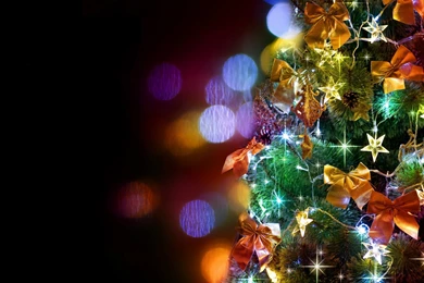 1680x1050 Christmas Tree Wallpapers