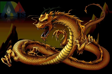 Gold Dragon 16 Wide Wallpapers   Hivewallpaper.com