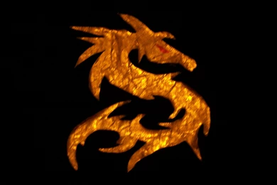 Gold Dragon Wallpapers