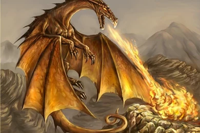 Gold Dragon 2 Desktop Wallpapers   Hivewallpaper.com