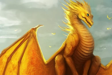 Gold Dragon 29 High Resolution Wallpapers   Hivewallpaper.com