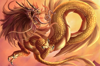 Chinese Dragon Wallpapers   Wallpapers Cave