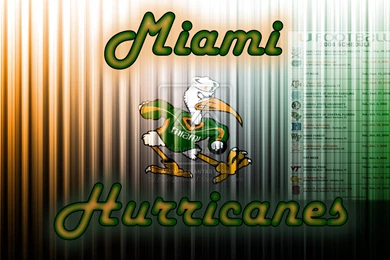 Miami Hurricanes Wallpapers Hd