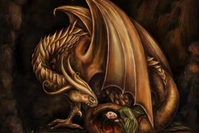 Gold Dragon 36 Desktop Wallpapers   Hivewallpaper.com