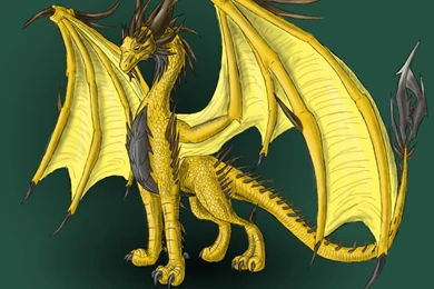 Gold Dragon 35 Desktop Backgrounds   Hivewallpaper.com