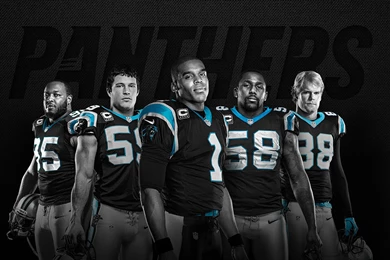 NFL Panthers All Players 2016 Wallpapers HD. Free Desktop ...