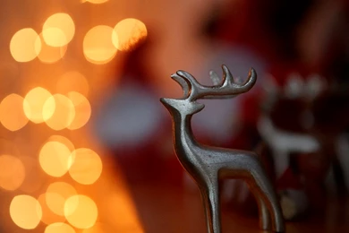 Free Reindeer Christmas Lights Computer Desktop Wallpapers