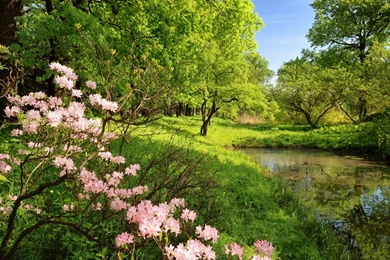 Full HD 1080p Spring Wallpapers HD, Desktop Backgrounds 1920x1080