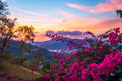 Spring Wallpapers Spring Backgrounds 4   HD Wallpapers Download For ...