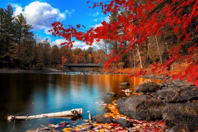 Fall Scenery