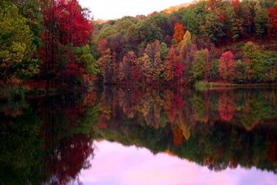 Fall Foliage Wallpapers   HD Wallpapers Pretty