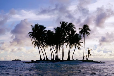 Beach Backgrounds.com – Beach Wallpapers