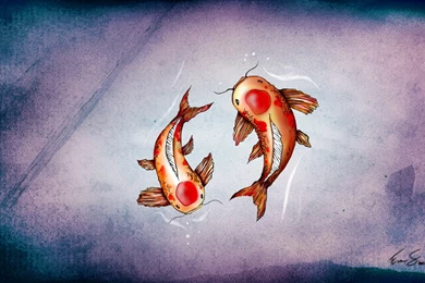 Koi Wallpapers