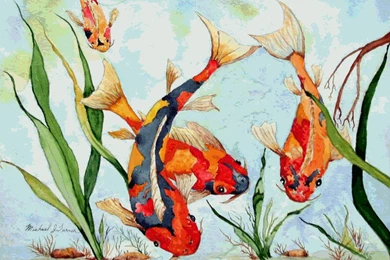 Koi Backgrounds   Wallpapers Cave