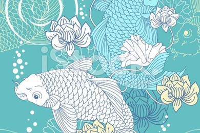 Koi Carp Backgrounds Stock Vector Art 16874343   IStock