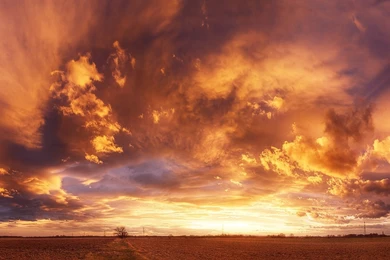 1920x1080 Fire Red Sky & Field Desktop PC And Mac Wallpapers