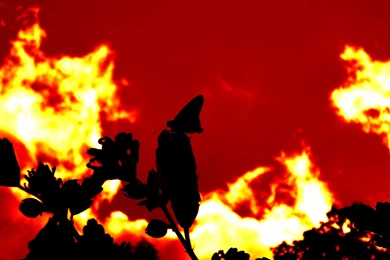 Red Sky Wallpapers By Blackpanther1307 On DeviantArt