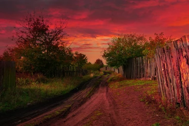 Red Sky Dirty Road Trees Wallpapers
