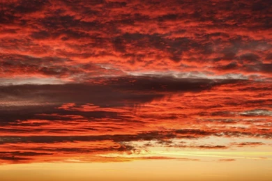 Free Wallpaper: Red Sky Wallpapers