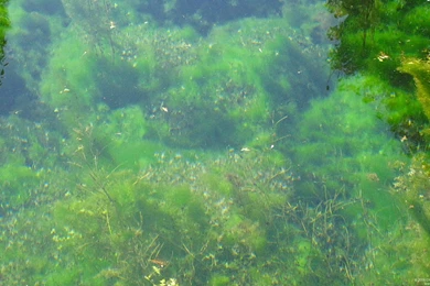 Free Desktop Wallpapers – China International Travel CA