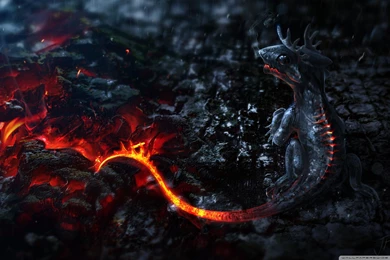 Salamander Artwork HD Desktop Wallpapers : High Definition ...