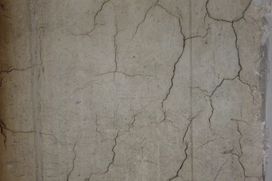 Tenacious Use Of B&Q Wallpapers Stripper By High powered Lawyer ...