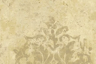 Shappy Chic On Pinterest