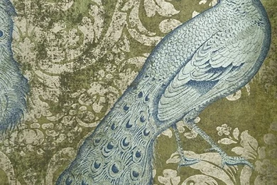 Byron Peacock Wallpapers In Sky Blue