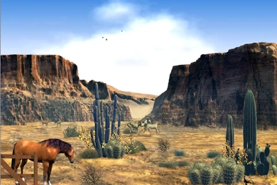 Wallpapers West Free Wild The 1024x768