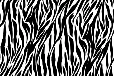 Zebra Print Wallpapers For 1920x1080