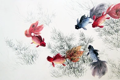 2560x1600 Chinese Painting, Fish, Fish Chinese Painting Wallpapers ...
