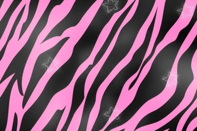 Pink Zebra Print Iphone Wallpapers