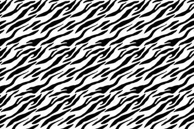 Black And White Zebra Print Whatsapp Wallpapers   Animal Print ...