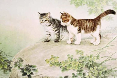 Chinese Cat Painting Iii   (
