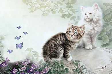 Chinese Cat Painting V   (