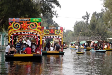 Mexico City Wallpapers   Crazy Frankenstein