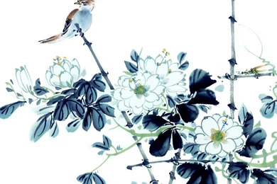 Chinese Birds Paintings